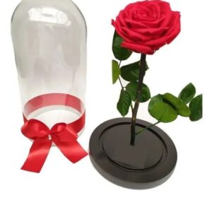 Rosas eternas BQ