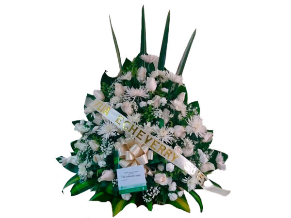 funeraria los olivos barranquilla