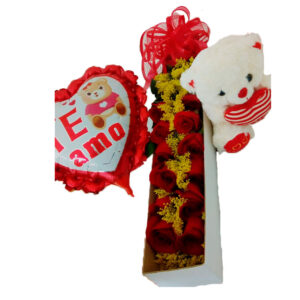 Ramo B027