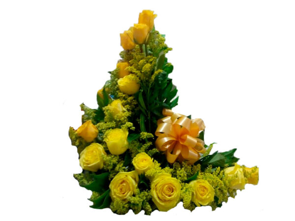 Ramo B034