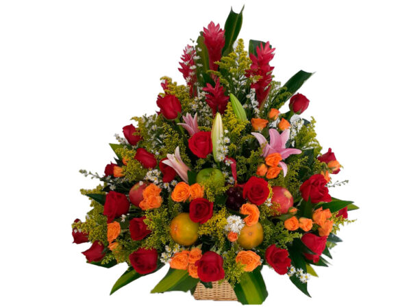 Ramo B025
