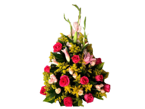 Ramo B024