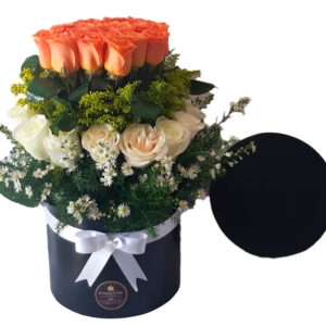 Ramo B041