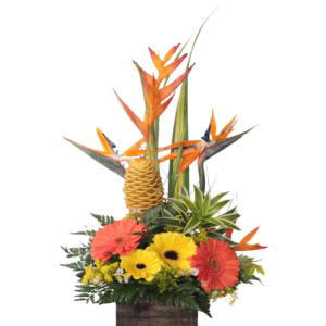 Comprar flores en Barranquilla