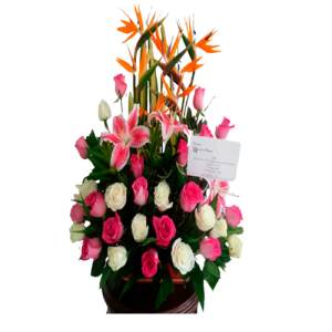 Floristería en Barranquilla